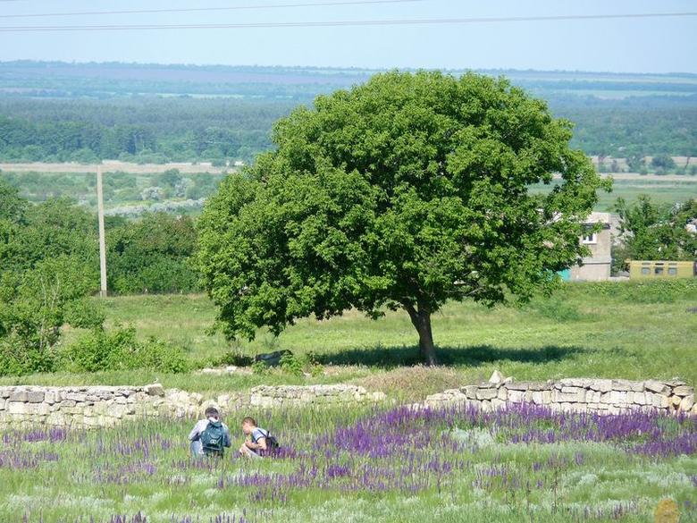 На кладбище. В поисках казацких крестов.